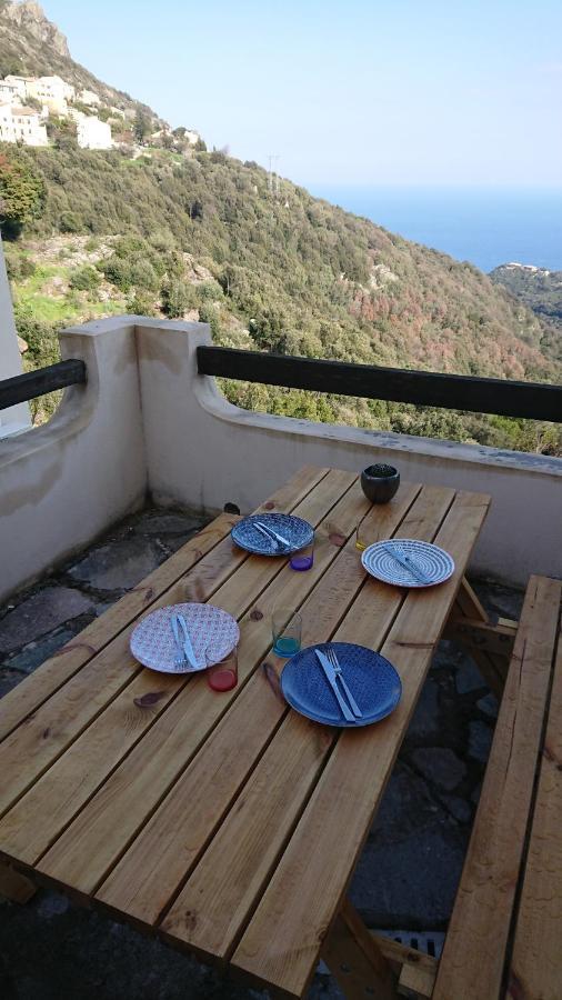 A Tana Di A Volpe Appartement Ville-di-Pietrabugno Buitenkant foto