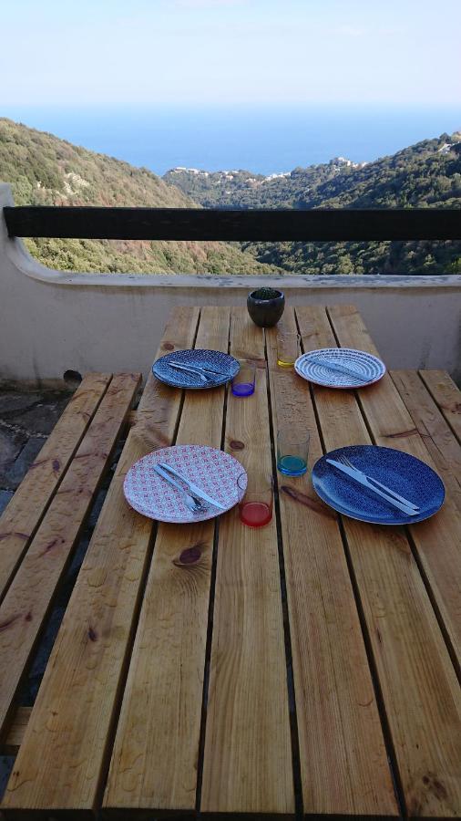A Tana Di A Volpe Appartement Ville-di-Pietrabugno Buitenkant foto